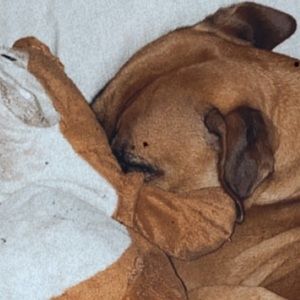 Meet your Posher, Olivia